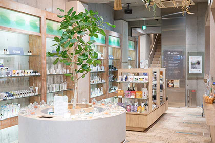生活の木 原宿表参道店