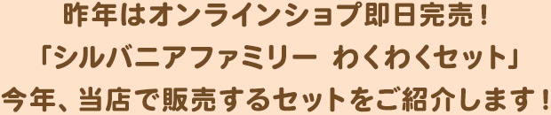シルバニアファミリー わくわくセット【森の手芸屋さんオリジナルプレゼント付き!】