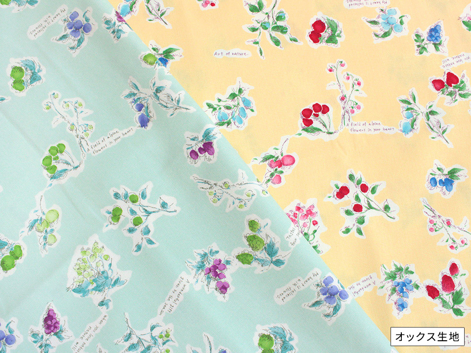 CRA-SEW collection 1mカットクロス オックス リズフルーツ